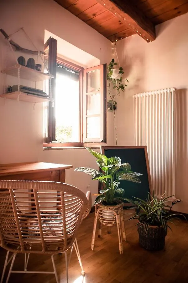 Вилла Social Garden Кальчи