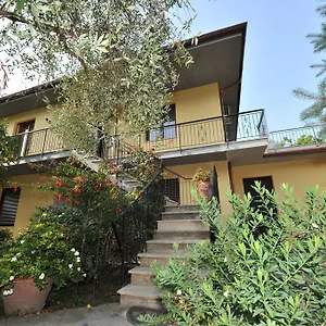 Gli Olivi Calci