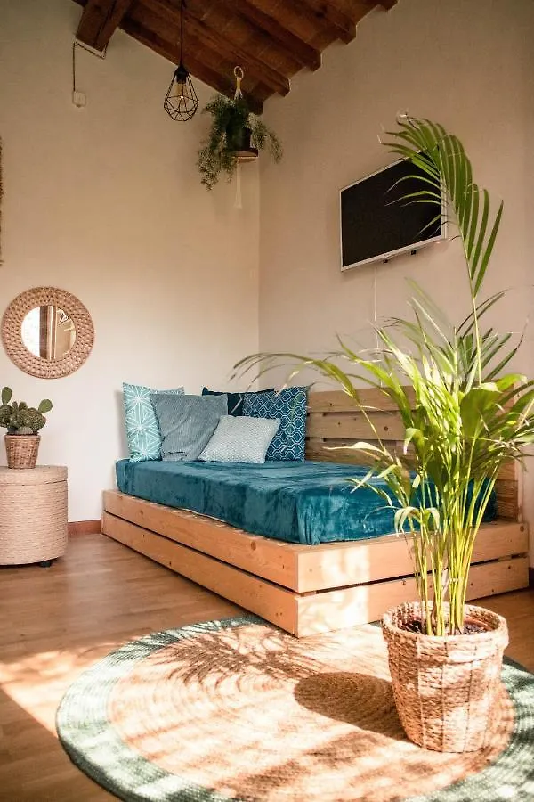 Social Garden Villa Calci Holiday home