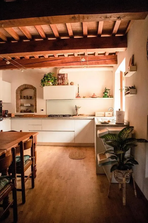 Holiday home Social Garden Villa Calci Italy