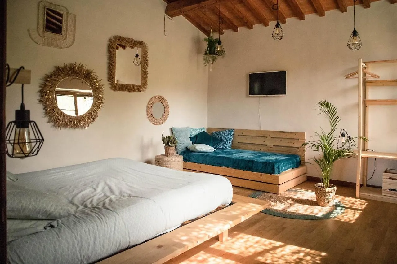 Social Garden Villa Calci Holiday home